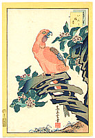 Sugakudo Nakayama fl.1850-60 - Red Parrot - artelino Art Auctions. Sugakudo Nakayama fl.1850-60 - Red Parrot