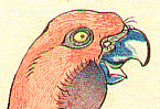 Sugakudo Nakayama fl.1850-60 - Red Parrot - artelino Art Auctions. Sugakudo Nakayama fl.1850-60 - Red Parrot