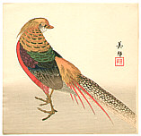 Biho active ca. 1900 - Chinese Pheasant - artelino Art Auctions. Biho active ca. 1900 - Chinese Pheasant