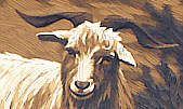 Li Yanpeng born 1958 - Goats on the Sandhill