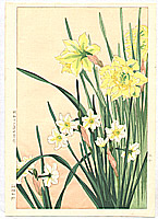Hodo Nishimura active 1930s - Daffodils - artelino Art Auctions. Hodo Nishimura active 1930s - Daffodils