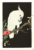 Cockatoo - By Hodo Nishimura active 1930s