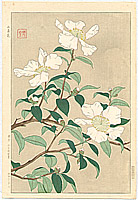 Shodo Kawarazaki 1889-1973 - Sazanka - artelino Art Auctions. Shodo Kawarazaki 1889-1973 - Sazanka
