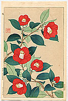 Shodo Kawarazaki 1889-1973 - Red Camellia - artelino Art Auctions. Shodo Kawarazaki 1889-1973 - Red Camellia