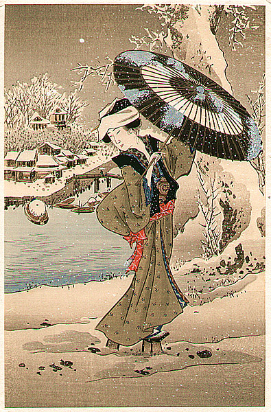 Unknown - Beauty in The Snow