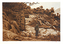 Li Yanpeng born 1958 - Village