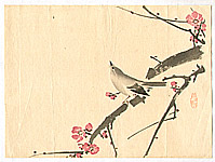 Unknown - Bush Warbler and Plum - artelino Art Auctions. Unknown - Bush Warbler and Plum