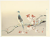 Kibo Kodama 1898-1971 - Bulbul on Cherry branch - artelino Art Auctions. Kibo Kodama 1898-1971 - Bulbul on Cherry branch