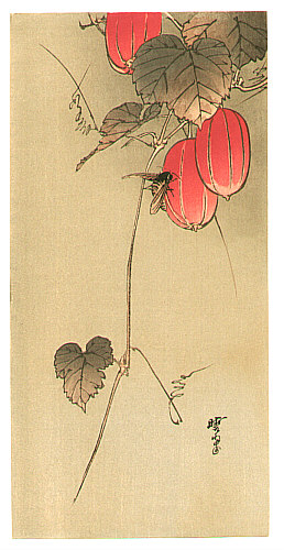Gyosui Kawanabe 1868-1935 - Bee and Red Fruits