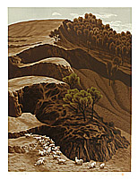 Li Yanpeng born 1958 - Mountain is Green Again