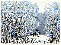 Zhao Haipeng born 1945 - In the Forest