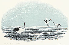 Zhao Haipeng born 1945 - Singing to the Sky