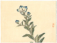 Bairei Kono 1844-1895 - Blue Bell Flowers - artelino Art Auctions. Bairei Kono 1844-1895 - Blue Bell Flowers