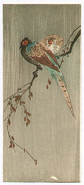 Unknown - Two Pheasants