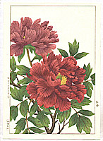 Hodo Nishimura active 1930s - Peony - artelino Art Auctions. Hodo Nishimura active 1930s - Peony