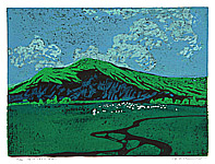 Kang Yongming born 1943 - Oasis