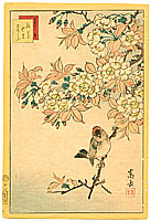 Sugakudo Nakayama fl.1850-60 - Robin and Cherry - artelino Art Auctions. Sugakudo Nakayama fl.1850-60 - Robin and Cherry