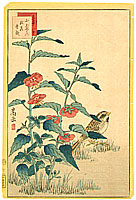 Sugakudo Nakayama fl.1850-60 - Sparrow and Flowers - artelino Art Auctions. Sugakudo Nakayama fl.1850-60 - Sparrow and Flowers