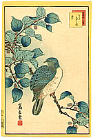 Sugakudo Nakayama fl.1850-60 - Bird and Flowers - artelino Art Auctions. Sugakudo Nakayama fl.1850-60 - Bird and Flowers