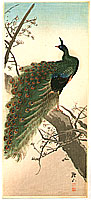Sozan Ito 1884-? - Peacock - artelino Art Auctions. Sozan Ito 1884-? - Peacock