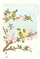 Shizuo Ashikaga fl.ca. 1950s - Japanese Quince and Yellow Bunting - artelino Art Auctions. Shizuo Ashikaga fl.ca. 1950s - Japanese Quince and Yellow Bunting