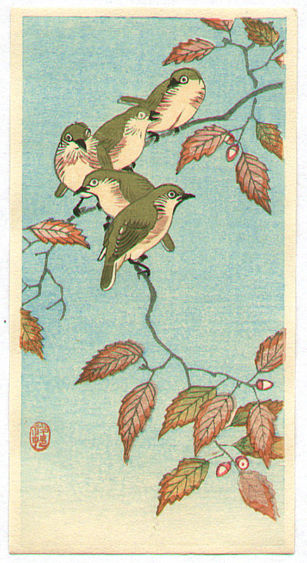 小原古邨: Five Small Birds Perch on Acorn Tree - Artelino - 浮世絵検索