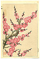 Shodo Kawarazaki 1889-1973 - Red Plum Blossoms - artelino Art Auctions. Shodo Kawarazaki 1889-1973 - Red Plum Blossoms