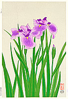 Nisaburo Ito 1910-1988 - Iris - artelino Art Auctions. Nisaburo Ito 1910-1988 - Iris