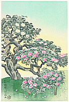 Nisaburo Ito 1910-1988 - Five-Colored Camellia - artelino Art Auctions. Nisaburo Ito 1910-1988 - Five-Colored Camellia