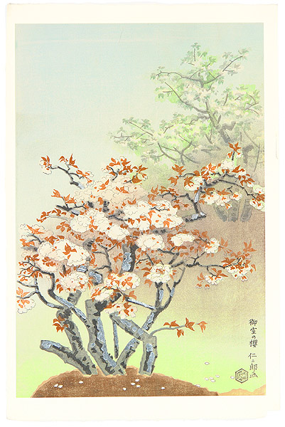 Nisaburo Ito 1910-1988 - Cherry Blossom at Omuro