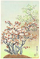 Nisaburo Ito 1910-1988 - Cherry Blossom at Omuro - artelino Art Auctions. Nisaburo Ito 1910-1988 - Cherry Blossom at Omuro
