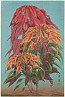 Taisui Inuzuka fl. 1920s - Coleus - artelino Art Auctions. Taisui Inuzuka fl. 1920s - Coleus