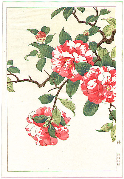 Hodo Nishimura active 1930s - Camellia