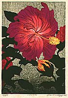 Waichi Hayashi born 1951 - Hibiscus