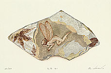 Ryusei Okamoto born 1949 - Fairy in a Fossil - Fossil No.2 - artelino Art Auctions. Ryusei Okamoto born 1949 - Fairy in a Fossil - Fossil No.2