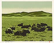 Catalog Li Yanpeng - Grassland Series