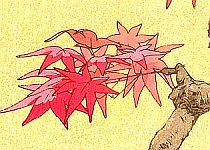 Tsukasa Yoshida born 1949 - Maple - artelino Art Auctions. Tsukasa Yoshida born 1949 - Maple