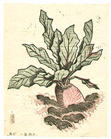 Unichi Hiratsuka 1895-1997 - The Poems and the Prints - Red Turnip - artelino Art Auctions. Unichi Hiratsuka 1895-1997 - The Poems and the Prints - Red Turnip