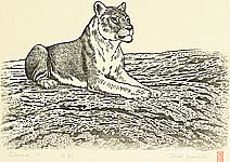 Toshi Yoshida 1911-1995 - Lioness A - artelino Art Auctions. Toshi Yoshida 1911-1995 - Lioness A