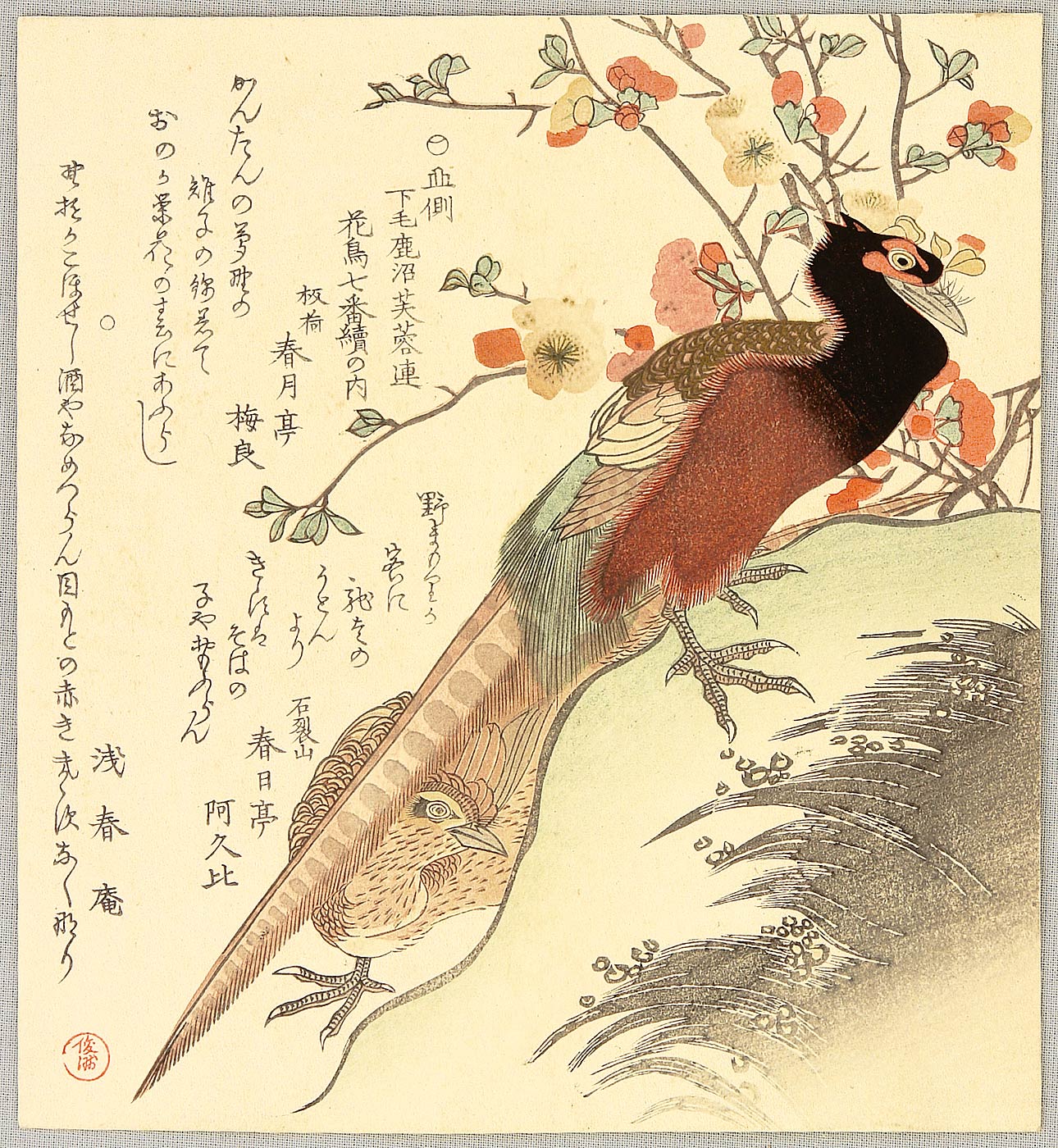 窪俊満: Pheasant - Japanese Art Open Database - 浮世絵検索