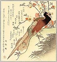 Shumman Kubo 1757-1820 - Two Pheasants and Plum - artelino Art Auctions. Shumman Kubo 1757-1820 - Two Pheasants and Plum