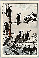 Shiro Kasamatsu 1898-1992 - Cormorants - artelino Art Auctions. Shiro Kasamatsu 1898-1992 - Cormorants