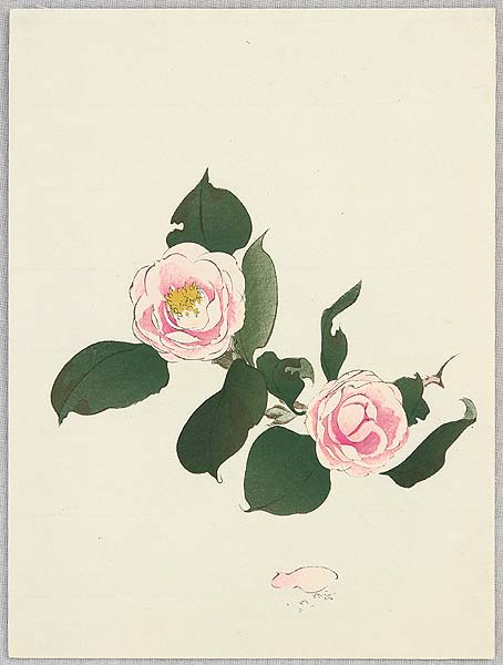 Unknown - Camellias - artelino Art Auctions. Unknown - Camellias