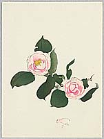 Unknown - Camellias - artelino Art Auctions. Unknown - Camellias