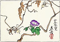 Zeshin Shibata 1807-1891 - Morning Glories - Hana Kurabe - artelino Art Auctions. Zeshin Shibata 1807-1891 - Morning Glories - Hana Kurabe