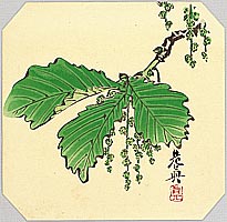 Zeshin Shibata 1807-1891 - Oak - artelino Art Auctions. Zeshin Shibata 1807-1891 - Oak