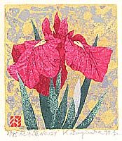 By Kazutoshi Sugiura - Flowering Iris No.127