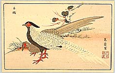 Masayoshi Kitao 1764-1824 - Two Exotic Birds - artelino Art Auctions. Masayoshi Kitao 1764-1824 - Two Exotic Birds