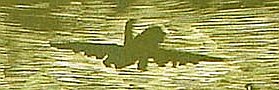 Wen Mujiang born 1970 - Shadow of Breeze No. 4
