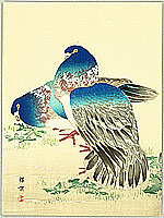 Bairei Kono 1844-1895 - Blue Pigeons - artelino Art Auctions. Bairei Kono 1844-1895 - Blue Pigeons
